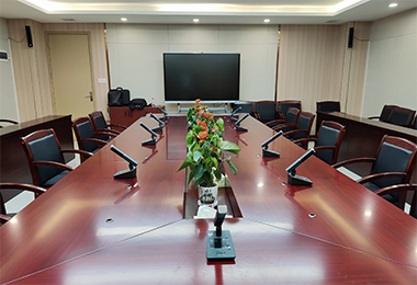 某黨委會議室2.4G無線會議發言（yán）擴聲係統