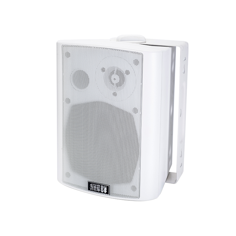 數字網絡室（shì）內壁掛音箱