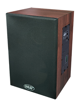 數字網絡室內音箱